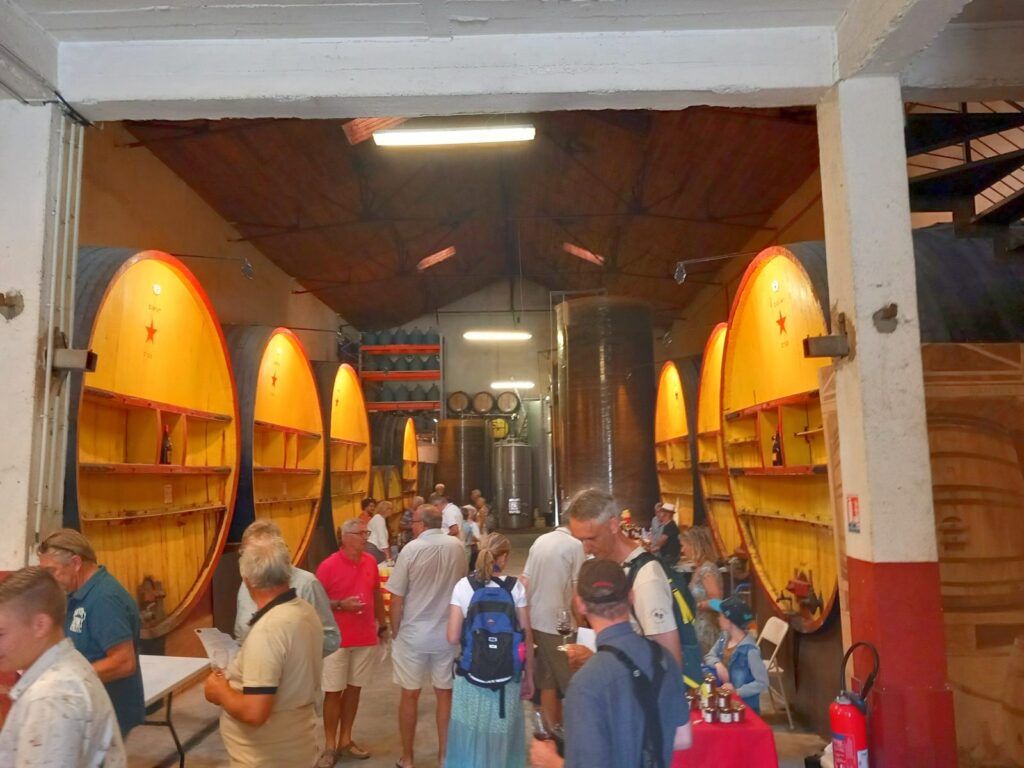 Les grands foudres de la Cave l’Étoile, à Banyuls-sur-Mer, un jour de dégustation